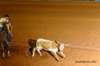 cm4i4308_small.jpg